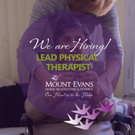 We're Hiring graphic - Lead Physical Therapist